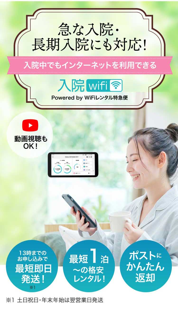 Wi-Fi レンタル